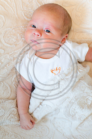 Buller_F0089