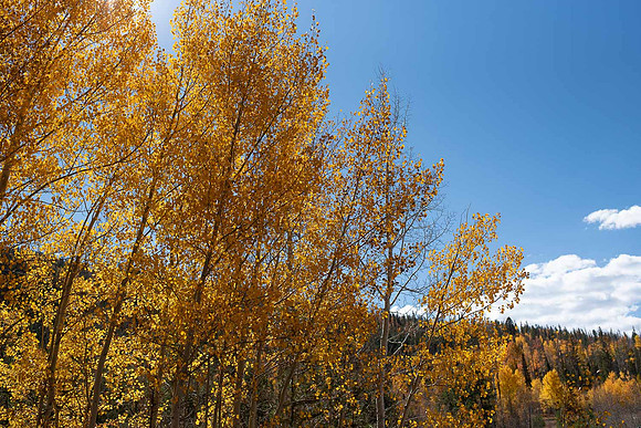 CET_Summit_015