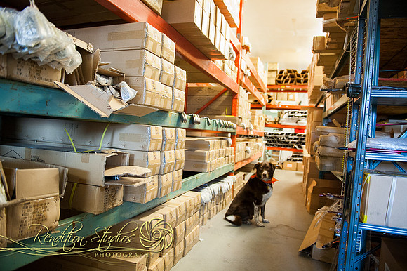 Golfshop_F127-LR