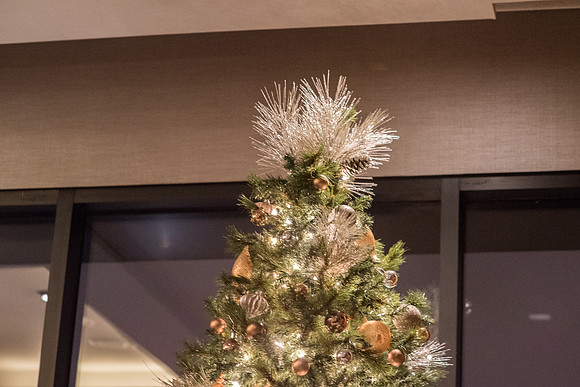 Holiday15F_002
