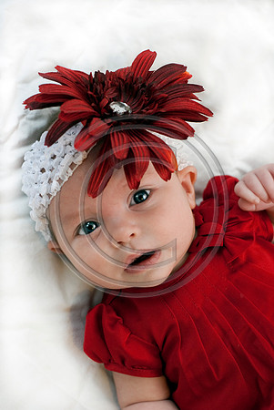 Dribus_Hannah_12242009_home_154