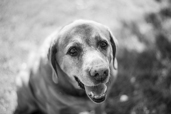 Callahan_059