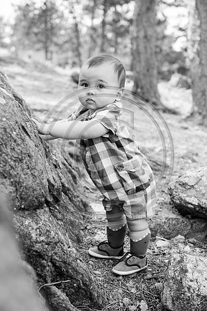 Hartle _F033