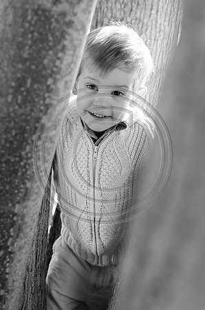 Morrison_F038