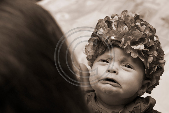 Dribus_Hannah_12242009_home_083_sepia60