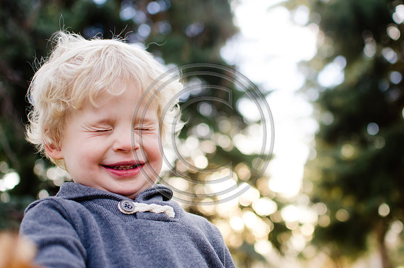Berry_F132