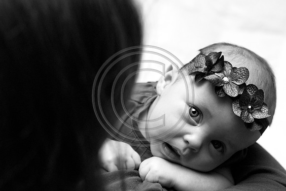 Dribus_Hannah_12242009_home_095_BW