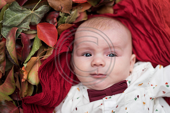 Carter_F035