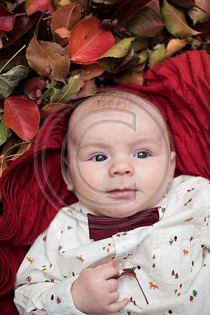 Carter_F036