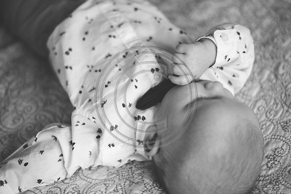 Carter_F047