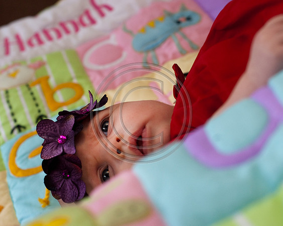Dribus_Hannah_12242009_home_139