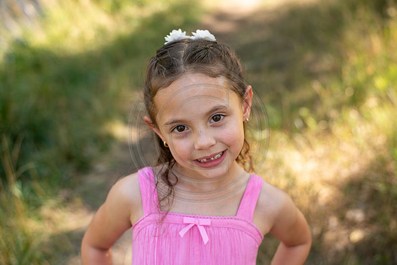 Wilcock_095