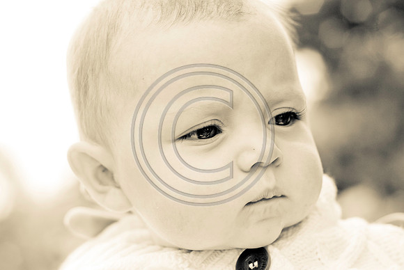 5Sonneman_A0018