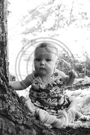 Campbell_F020