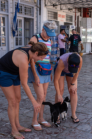 C01_3624