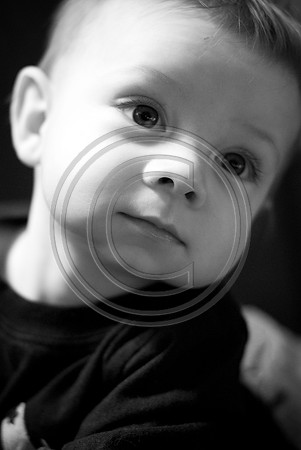 Wasinger_F066