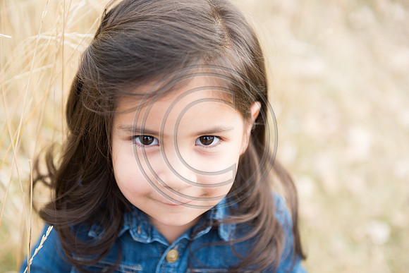 Holm_F074