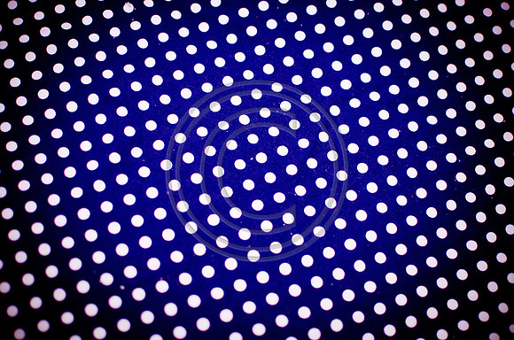 Metzger_F225