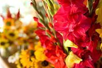 All Wedding Photos