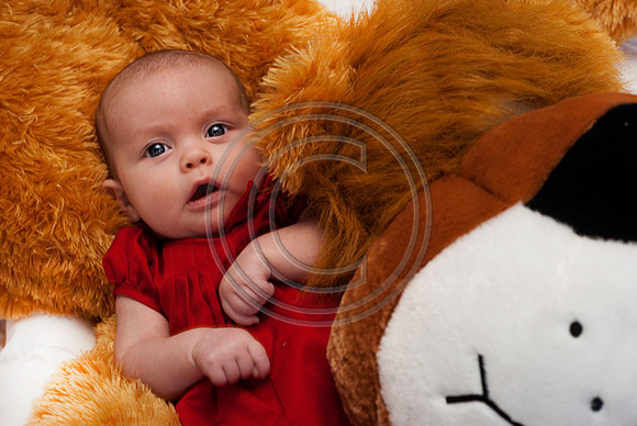 Dribus_Hannah_12242009_home_278