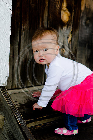 Suh_F092-2012