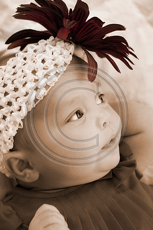 Dribus_Hannah_12242009_home_193_colorplay