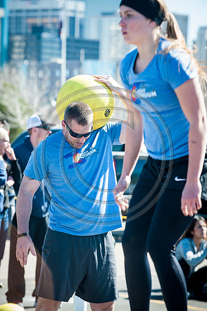 phoenixMS_F006