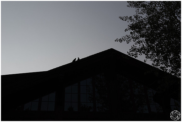 2018-08-29_0089