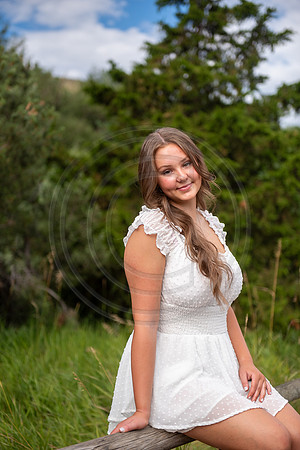 Welch-43