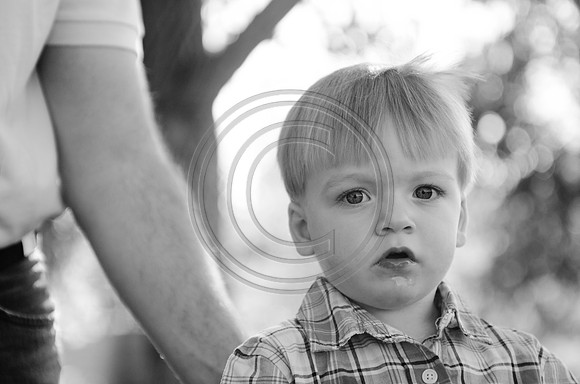 Schell_F0003