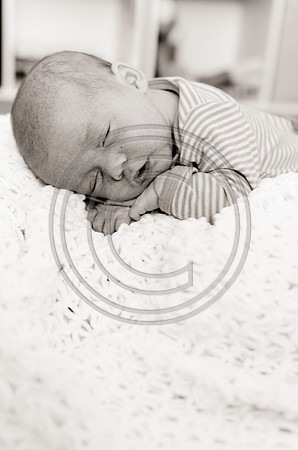 Young_F0064