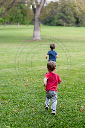 Rooke_033