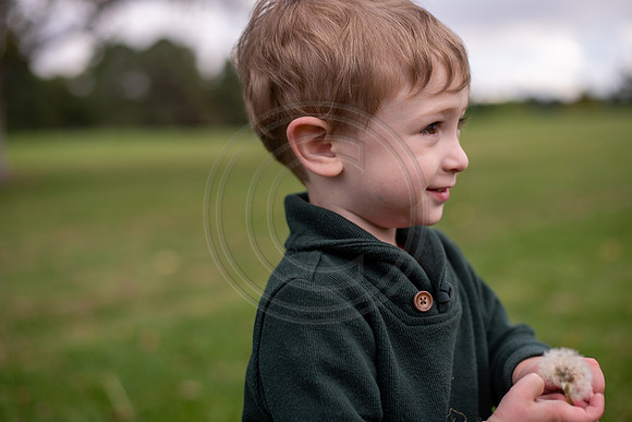 Rooke_111