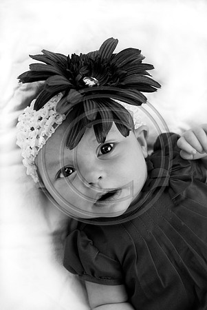 Dribus_Hannah_12242009_home_154_BW