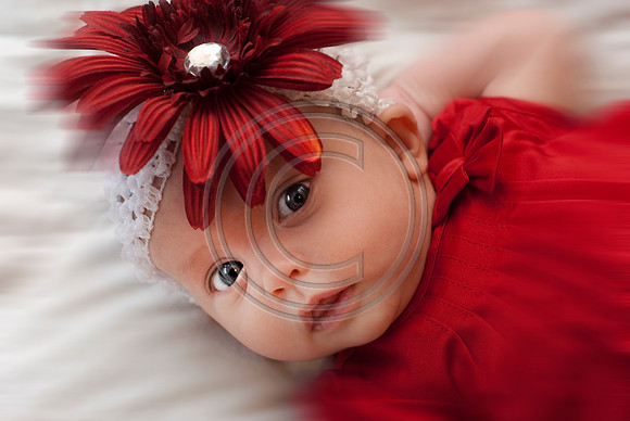 Dribus_Hannah_12242009_home_191