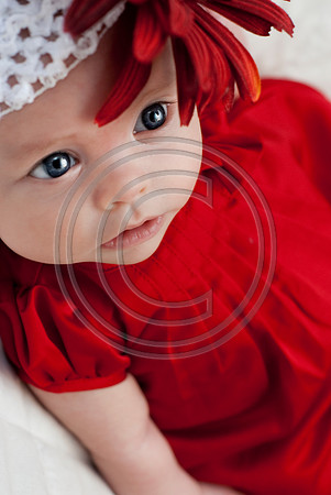 Dribus_Hannah_12242009_home_164