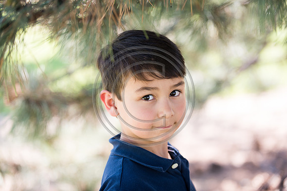 Baumgardner_F052