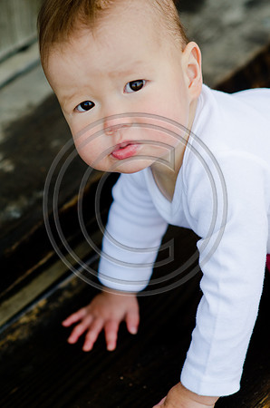 Suh_F095-2012