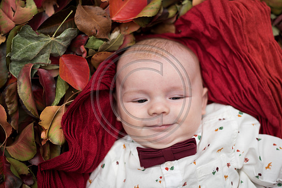 Carter_F031