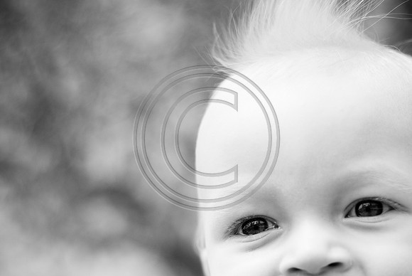 VanDeVelde_F037