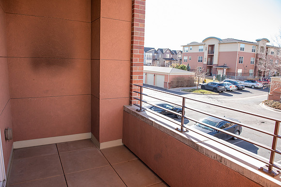 albion_F031