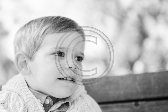 Morrison_F029