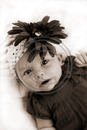 Dribus_Hannah_12242009_home_154_sepia60