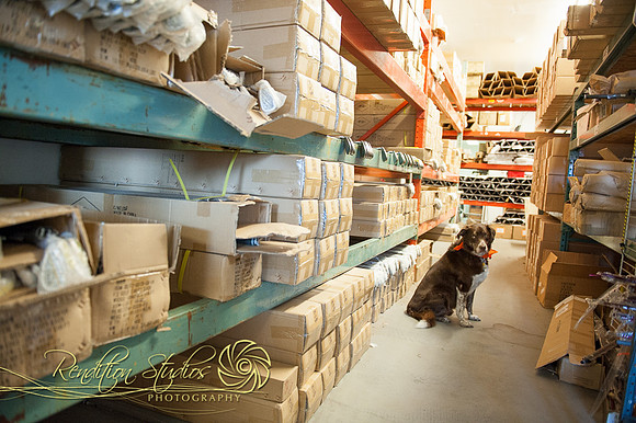 Golfshop_F128-LR