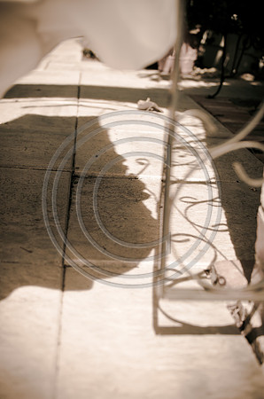 Kober_F017