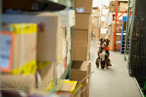 Golfshop_F085-LR
