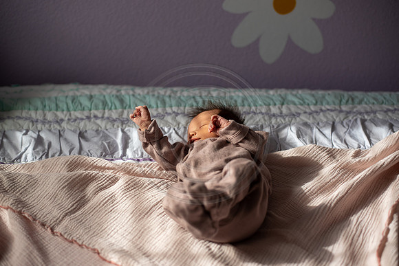 Nistel_167