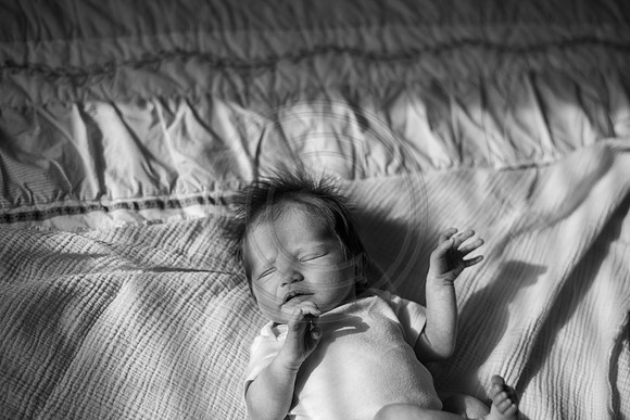 Nistel_170