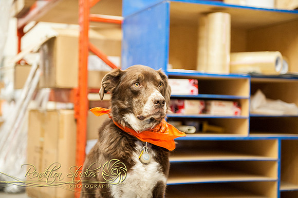 Golfshop_F072-LR