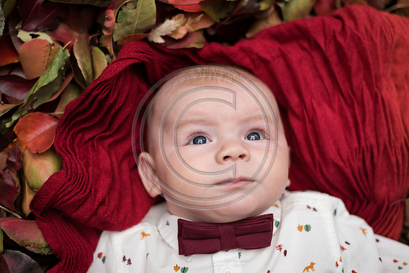 Carter_F037